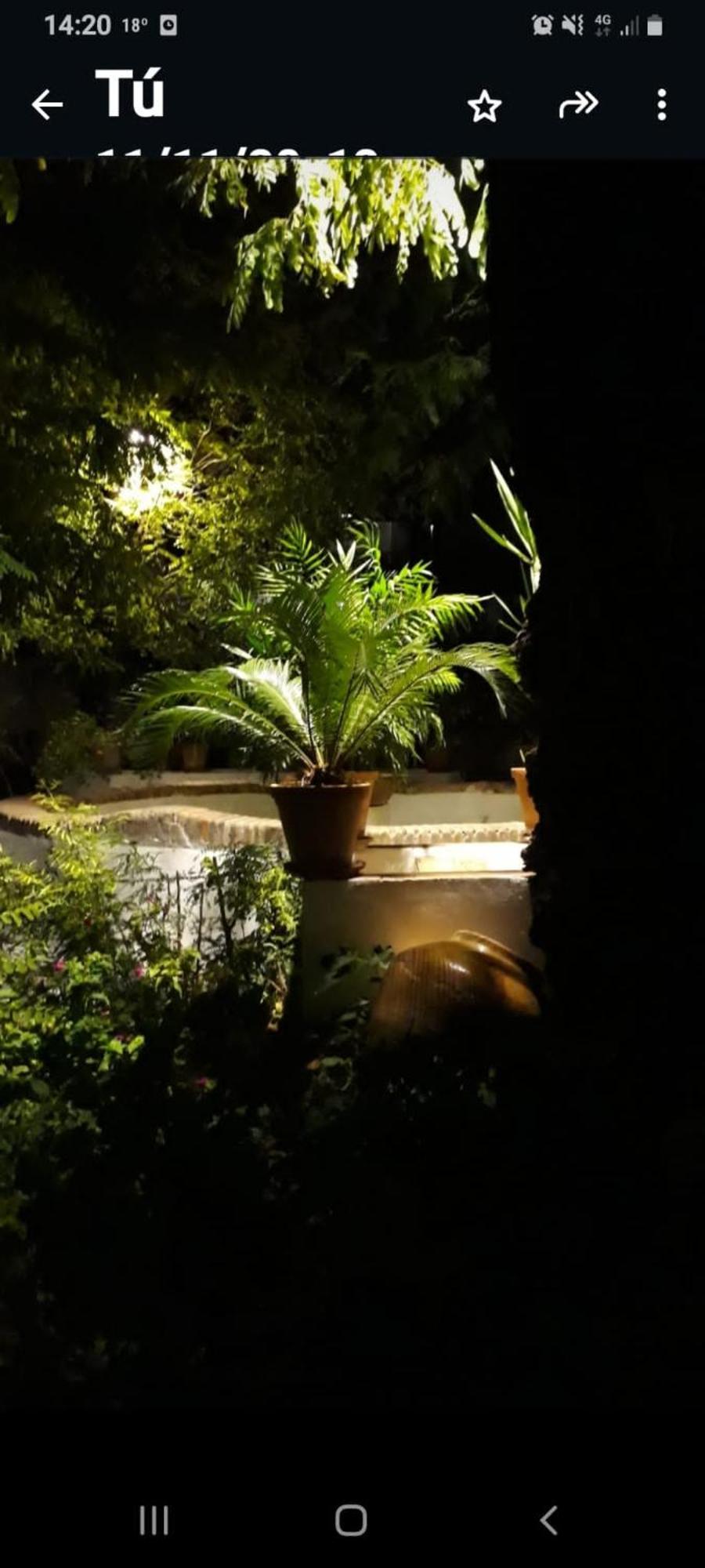 Andalusian Courtyard Apartment Seville Exterior photo